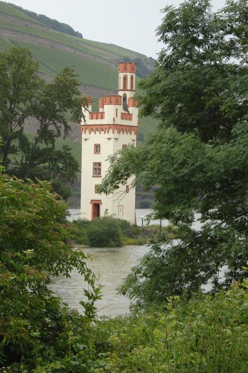 Hotel Gasthof Schuster Und Gaestehaus Рюдесгайм-ам-Райн Екстер'єр фото